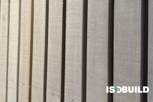 B14 - Résineux Pin Gris lave