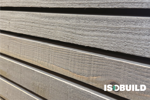 B16 - Résineux Pin Gris lave